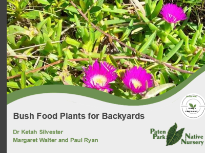 Bush Food Plant&nbsp;Book