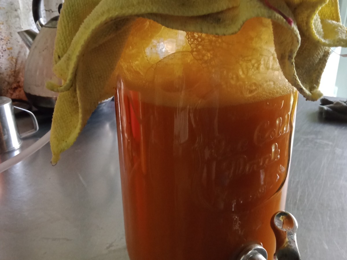 Pumpkin Vinegar