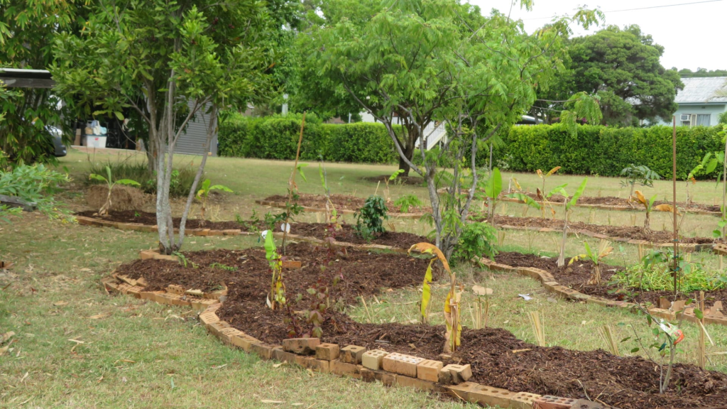 The Leichardt Community Garden is taking&nbsp;shape!