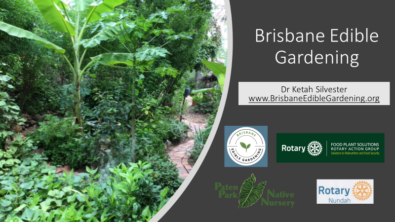 BOGI Presentation (June&nbsp;2023)