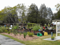 Taringa Community Garden Flower Workshop (June 4th&nbsp;2023)