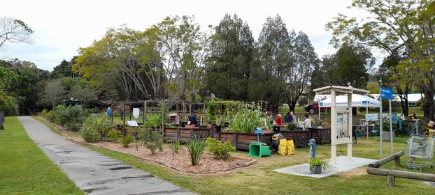 Taringa Community Garden Flower Workshop (June 4th&nbsp;2023)