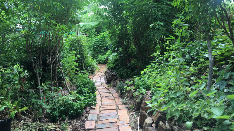 Fruit Fly Resistant (relatively)&nbsp;Crops