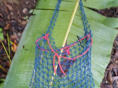 Make a Harvest&nbsp;Bag